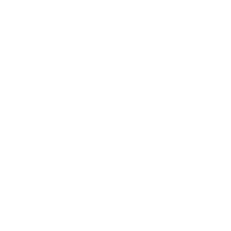 Alphabet (Google)