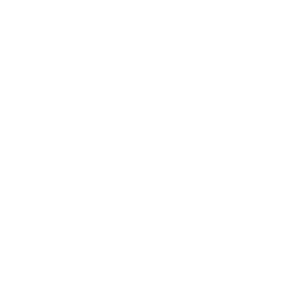 SoftBank Corp.